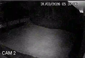 Caméra IP - Brésil