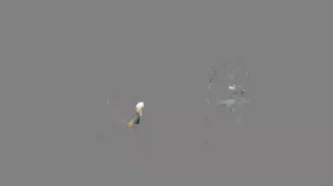 Caméra IP - Singapur