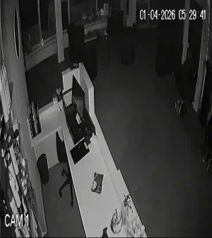 Caméra IP - Netherlands