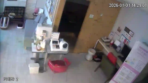 Caméra IP - Südkorea