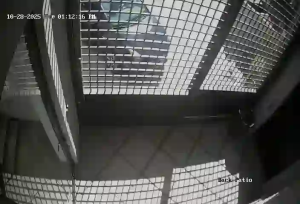 Caméra IP - Estados Unidos