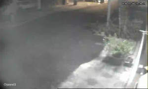 Caméra IP - Malaisie