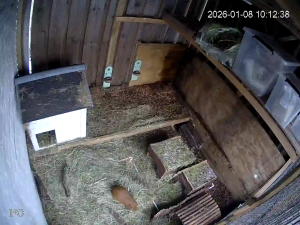 Caméra IP - Pays-Bas