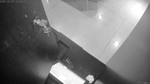 Caméra IP - Géorgie