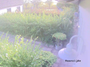Caméra IP - Netherlands