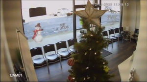 Caméra IP - United States of America