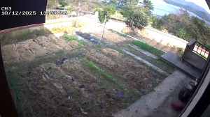 Caméra IP - South Korea