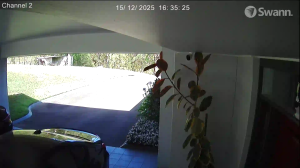 Caméra IP - Australia