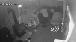 Caméra IP - United States of America