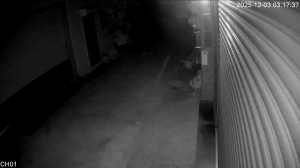 Caméra IP - Taiwan, Province of China