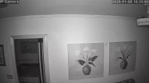 Caméra IP - Spanien