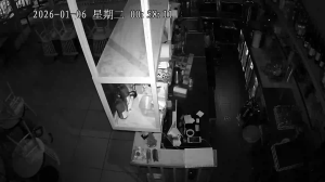 Caméra IP - Australie