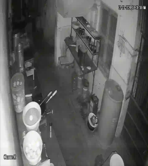 Caméra IP - Vue en direct