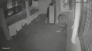 Caméra IP - Algerien