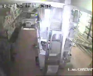 Caméra IP - Türkei