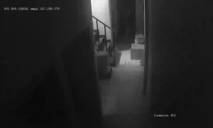 Caméra IP - Thaïlande