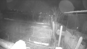 Caméra IP - Romania