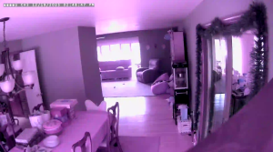 Caméra IP - Stati Uniti d'America