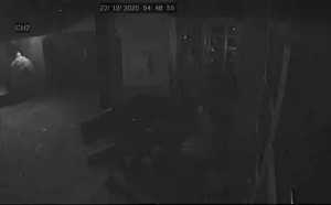 Caméra IP - Alemania