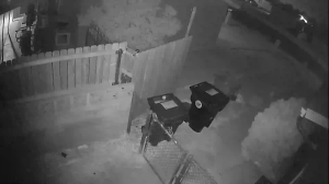 Caméra IP - États-Unis d'Amérique