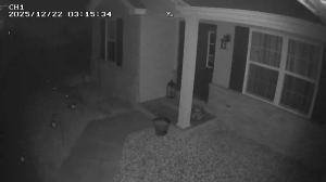 Caméra IP - Estados Unidos