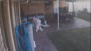 Caméra IP - Australie