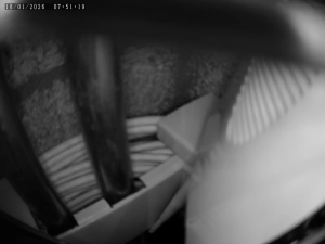 Caméra IP - Netherlands