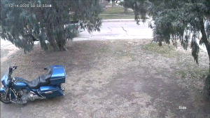 Caméra IP - United States of America