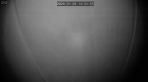 Caméra IP - South Korea