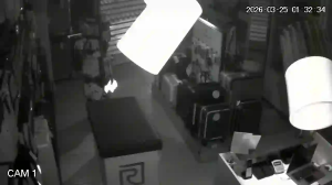 Caméra IP - Géorgie