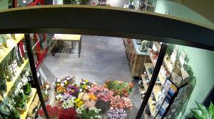 Caméra IP - Germania