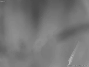 Caméra IP - États-Unis d'Amérique