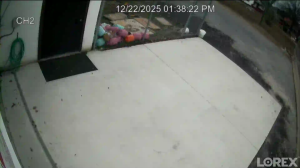 Caméra IP - Estados Unidos