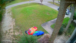 Caméra IP - United States of America