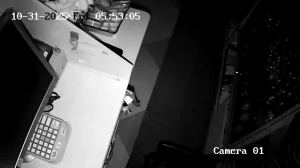 Caméra IP - Russische Föderation