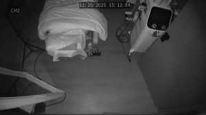 Caméra IP - Corea del Sud