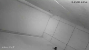 Caméra IP - Argentine