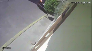 Caméra IP - Mexique