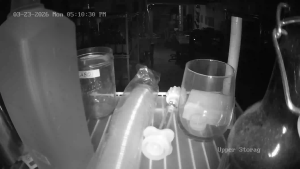 Caméra IP - Vereinigte Staaten von Amerika