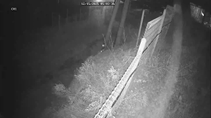 Caméra IP - República de Corea