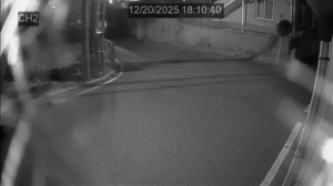 Caméra IP - South Korea