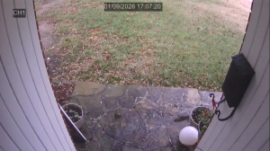 Caméra IP - United States of America