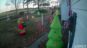 Caméra IP - Vereinigte Staaten von Amerika