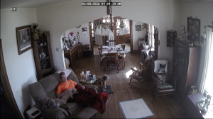 Caméra IP - États-Unis d'Amérique