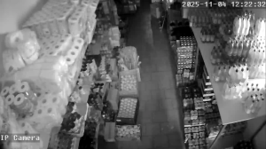 Caméra IP - Tschechische Republik