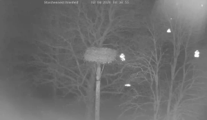 Caméra IP - Allemagne