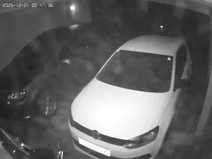 Caméra IP - Südafrika