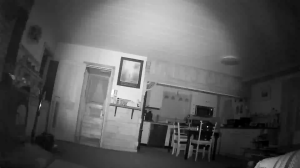 Caméra IP - United States of America