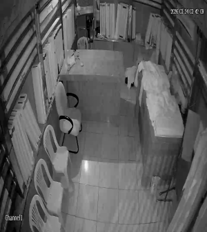 Caméra IP - Saudi Arabia