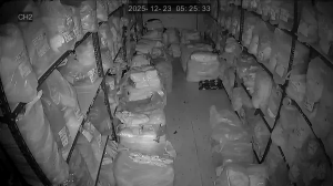 Caméra IP - Südkorea